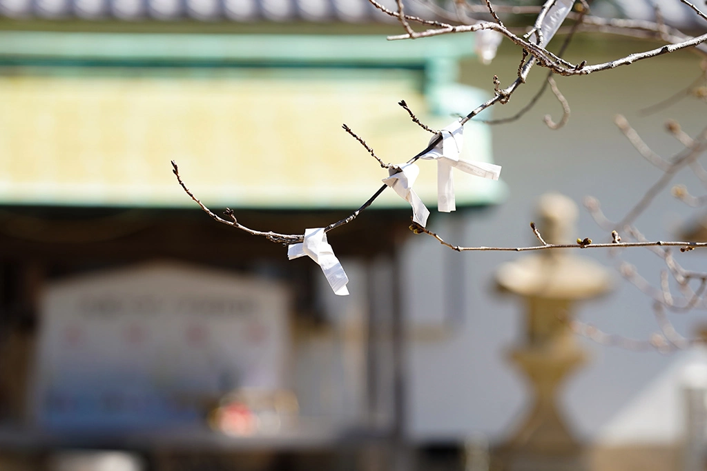 兵庫県神戸市垂水区の舞子六神社境内の様子